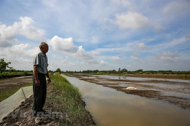 Mekong Delta urged to closely monitor saline intrusion forecasts in February