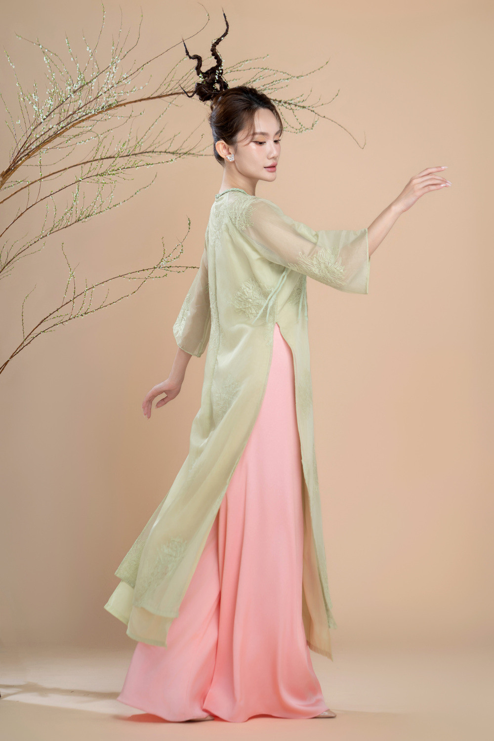 Hình ảnh