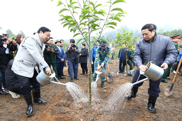 Thủ tướng: Thực hiện tốt phong trào 'Tết trồng cây đời đời nhớ ơn Bác Hồ'
