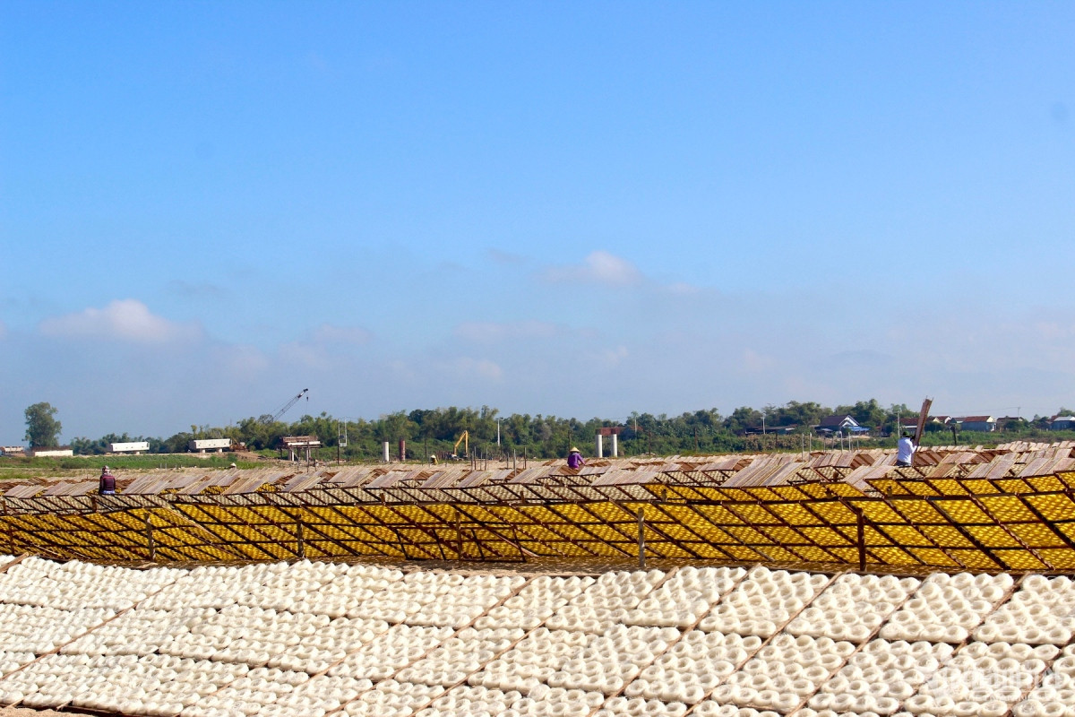 vermicelli village in binh dinh busy ahead of lunar new year picture 1