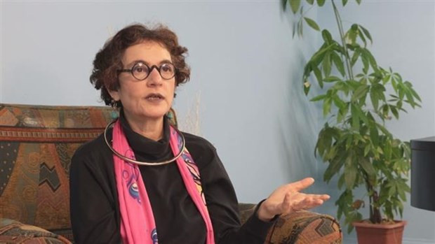 Vietnam’s US friend Merle Ratner dies in traffic accident aged 67 hinh anh 1