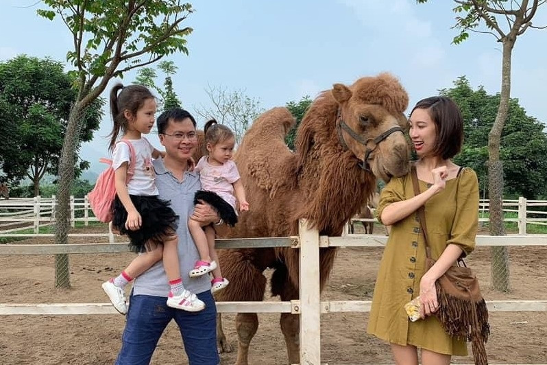 Mệt mỏi cơm nước mấy ngày Tết, mẹ chồng truyền thống quyết cả nhà đi du lịch
