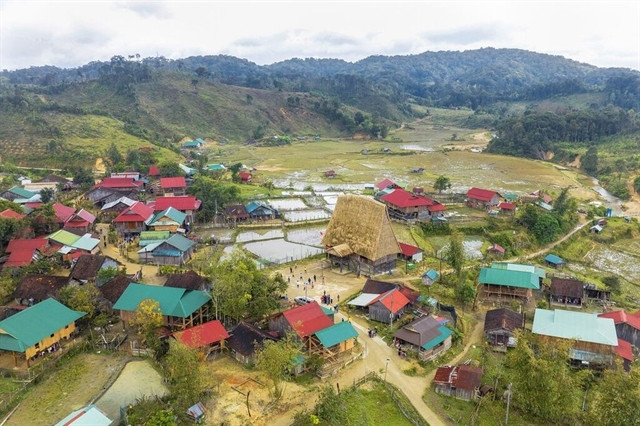 Mang Den to transform into cherry blossom town all year round