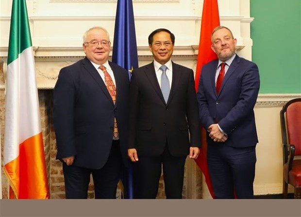 Vietnam, Ireland to forge cooperation in numerous spheres hinh anh 2