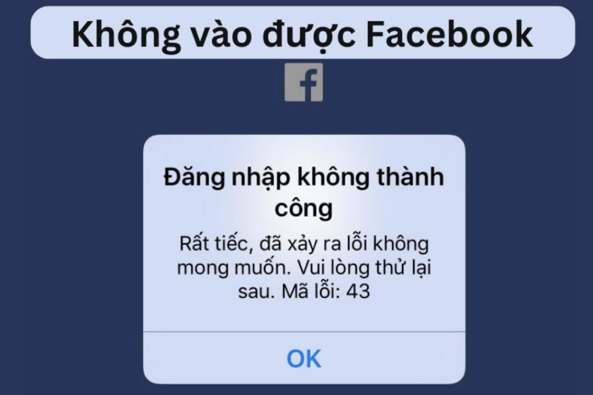 How did the Facebook crash affect Vietnamese users?