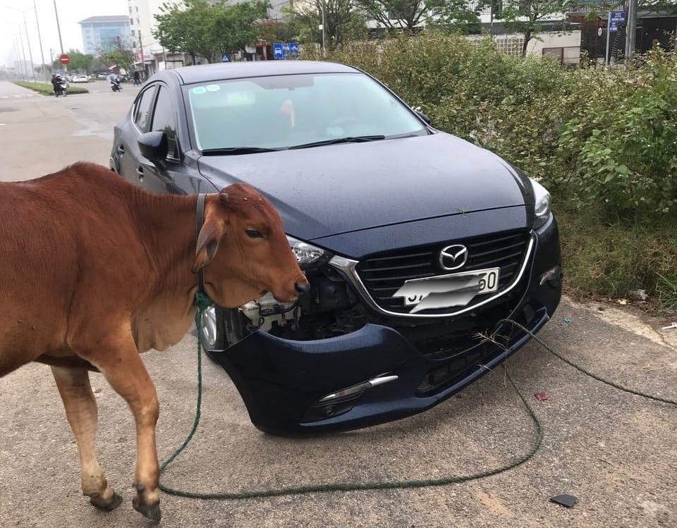 430086844 7111781905536050 4762960648291487096 n.jpeg