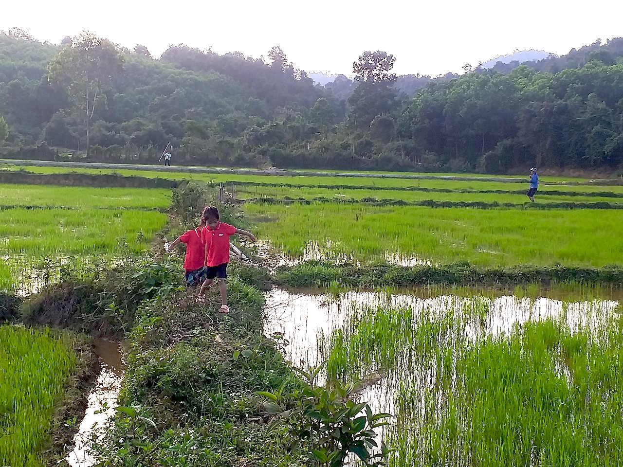 anh 1 Một góc bản Cà Xen, xã Thanh Hoá, huyện Tuyên Hoá, Quảng Bình. Ảnh: CTV.jpg