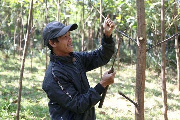 Lan toả những lá đơn xin thoát nghèo của người Mã Liềng