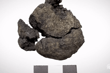 Bí ẩn dấu tay người trên ổ bánh mì 8.600 tuổi vừa được phát hiện