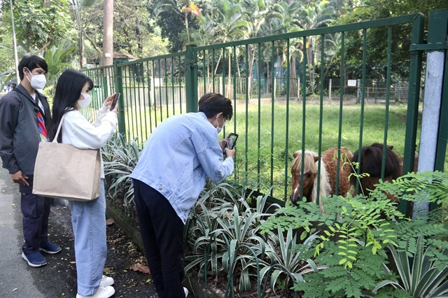 Saigon Zoo and Botanical Garden needs renovation to attract visitors