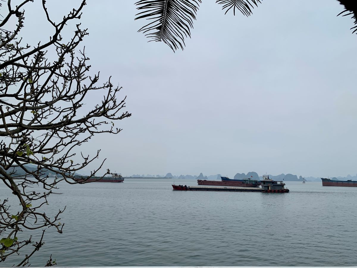 2 chuyen doi nghe khai thac thuy san ok.jpg