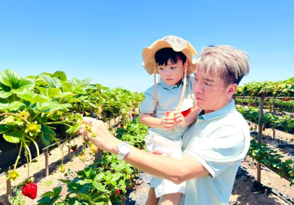 batch ddz5242143030279 11743b40492691a5fee84494102e1485.jpg