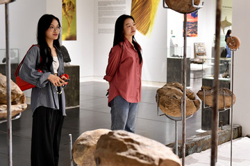Cận cảnh răng người 40.000 năm, hòn đá cổ nhất Việt Nam 3 tỷ năm