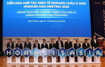 Binh Duong hosts 2024 Horasis China Meeting