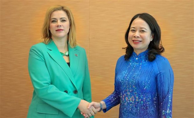 Vice State President has bilateral meetings in New York hinh anh 2