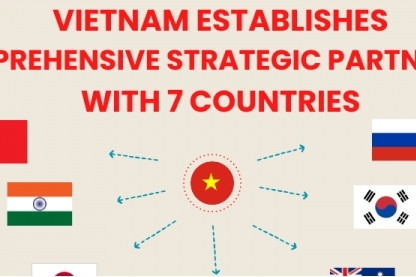 Which countries have set up comprehensive strategic partnership with Vietnam?