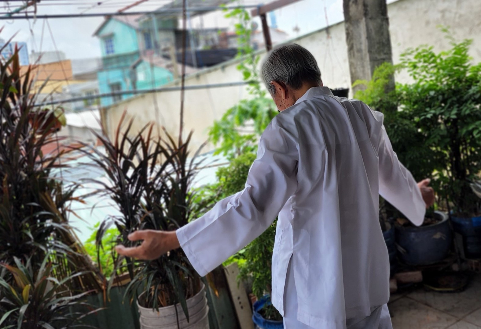 7 nguyen dinh tu.jpg