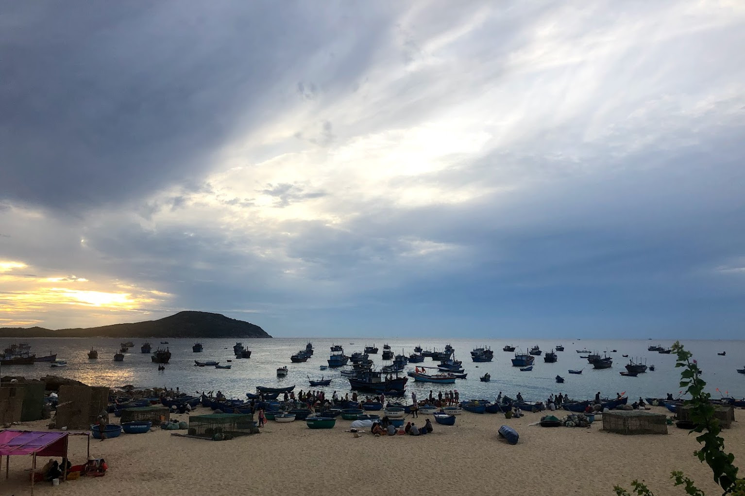 Cần giải pháp bảo tồn hệ sinh thái biển