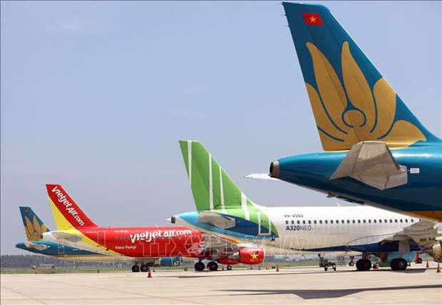 Domestic airlines’ fleets likely to shrink in two years: CAAV hinh anh 1
