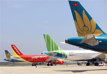 Vietnamese airlines’ fleets likely to shrink in two years: CAAV