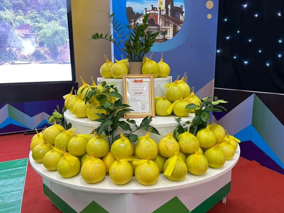 Xã nghèo đổi thay trở thành “thủ phủ” cam, bưởi trên vùng gò đồi