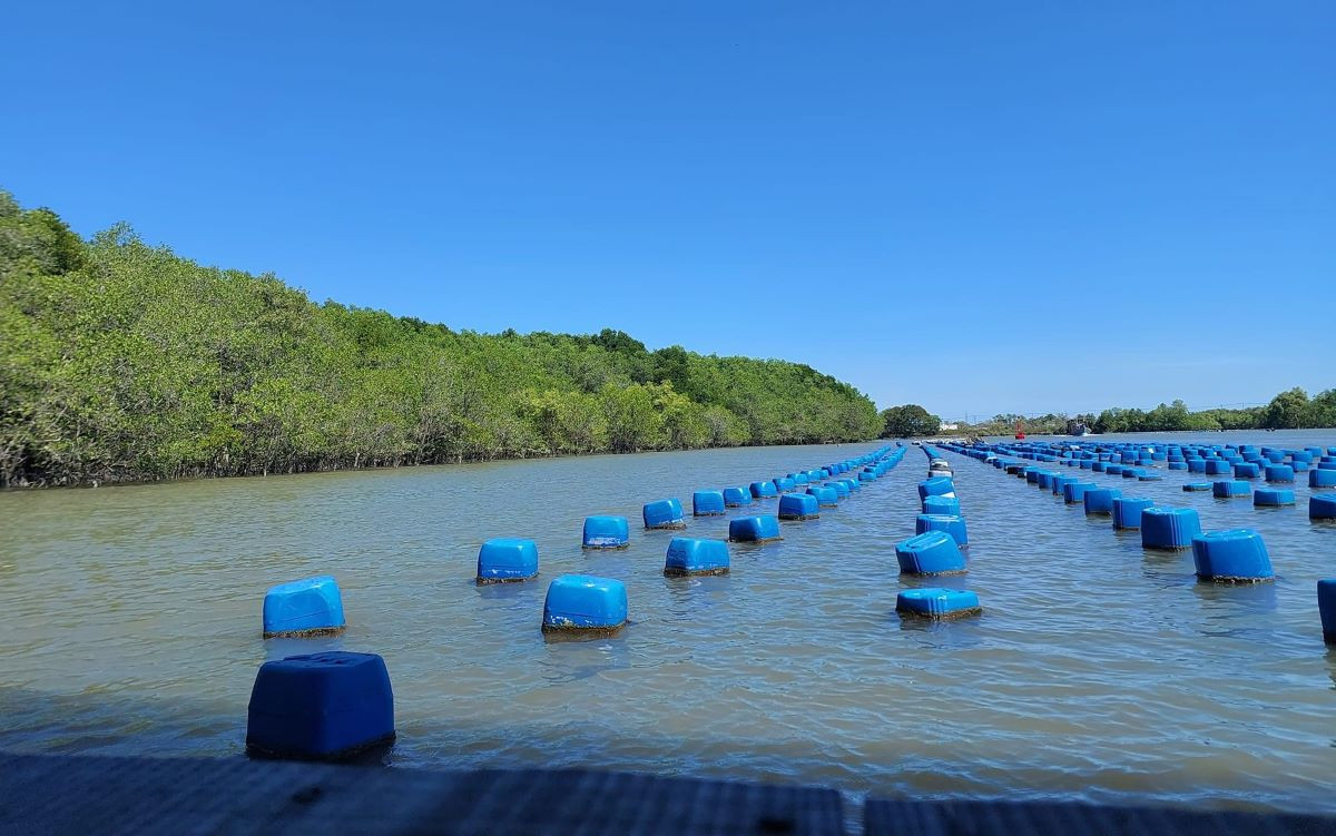 23 thuy san can gio.jpg