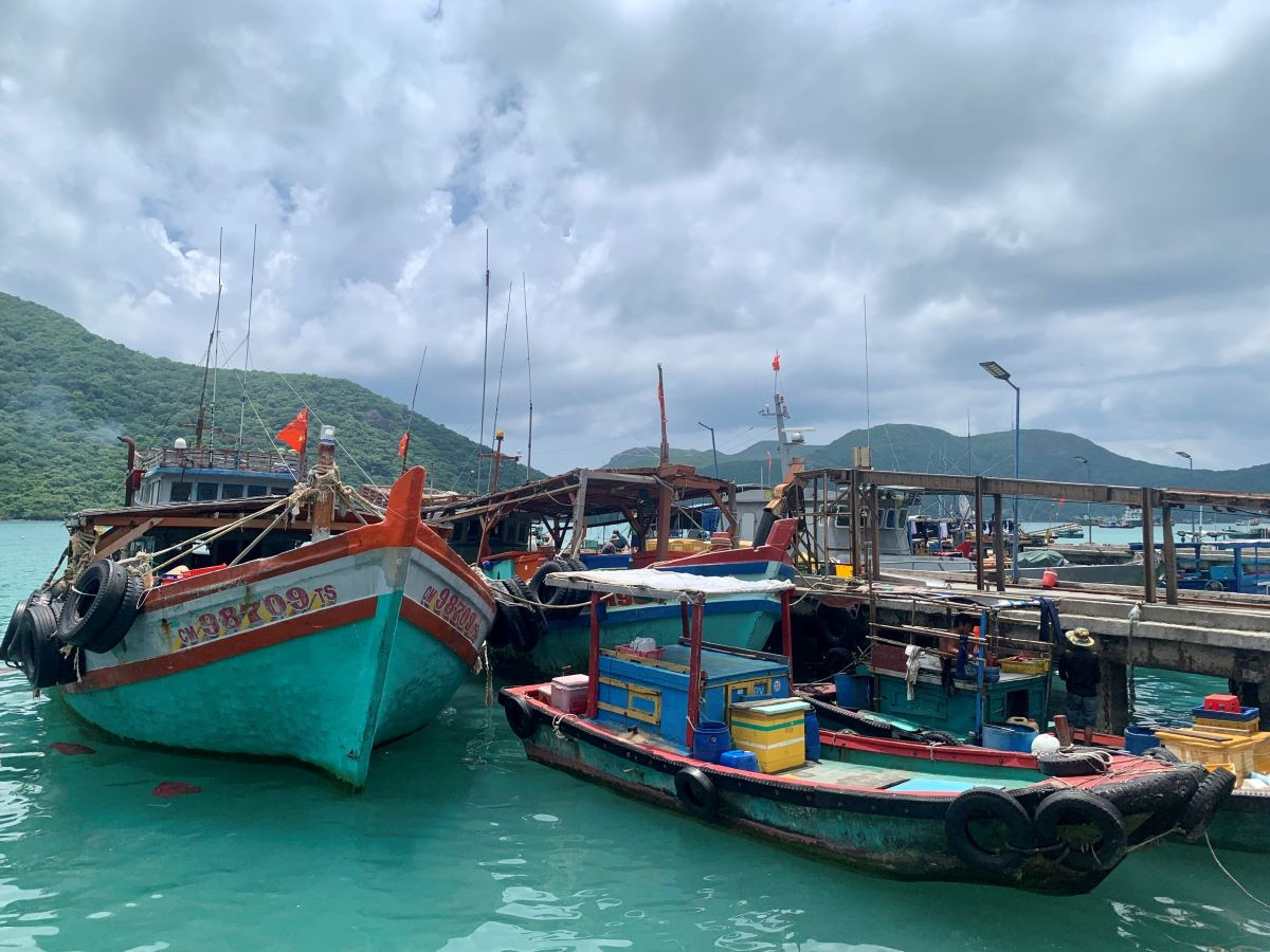 27 hai san vung tau.jpg