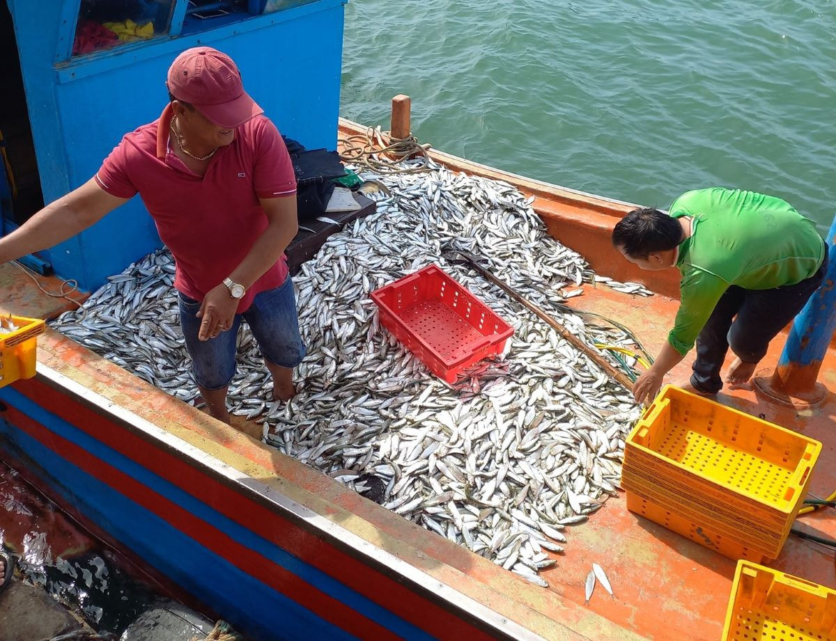 28 binh thuan chong khai thac iuu.jpg