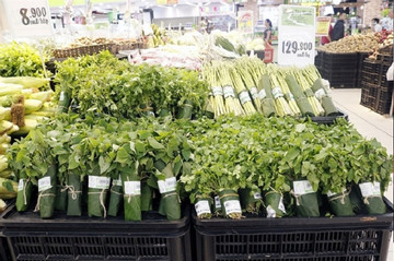 Local distributors should be encouraged to sell made-in-VN green products