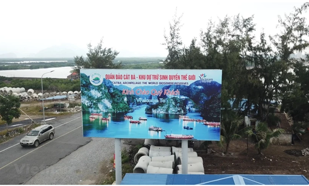 Vietnam works to prevent biodiversity degradation hinh anh 1