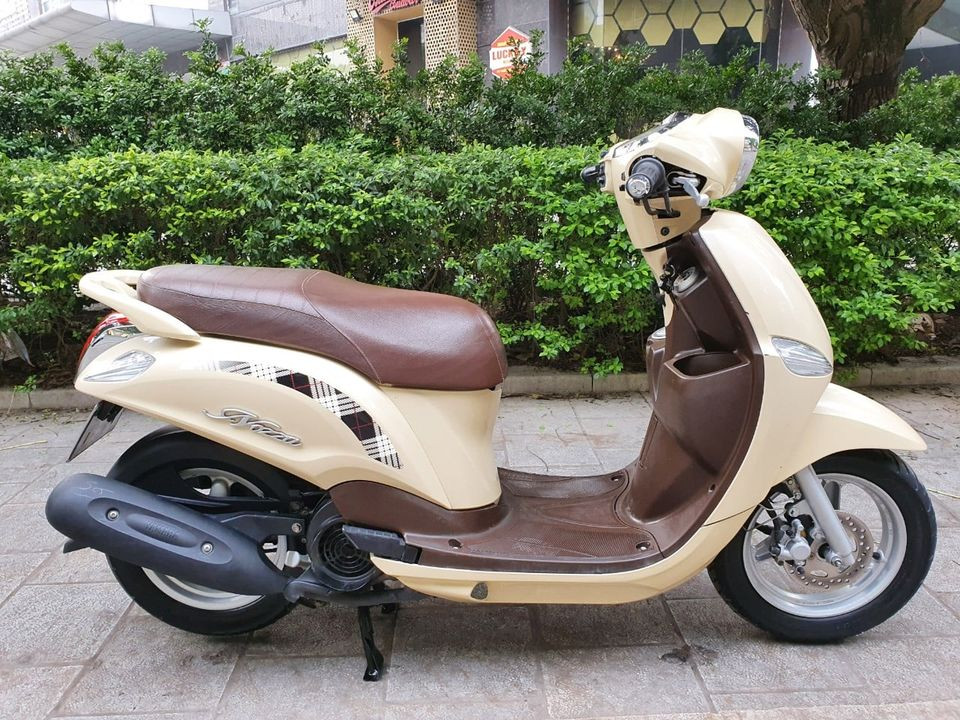 245255360 4594360763960991 2774021004654250587 n.jpeg