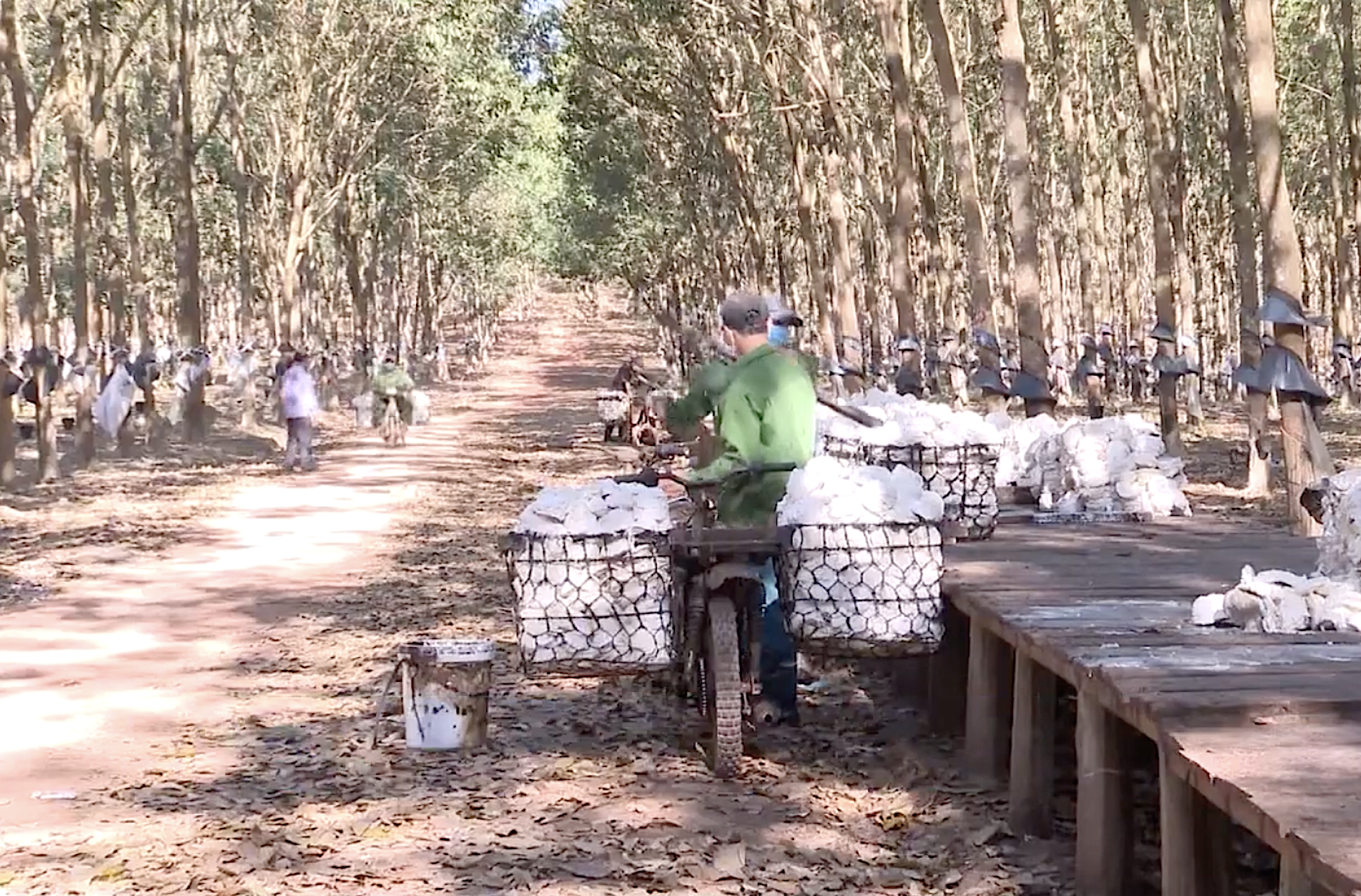 Vùng đồng bào DTTS Kon Tum: Lộ thông, tài thông