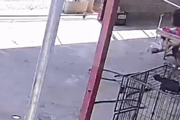 Hãi hùng cảnh người phụ nữ suýt mất tay khi bị chó pitbull tấn công