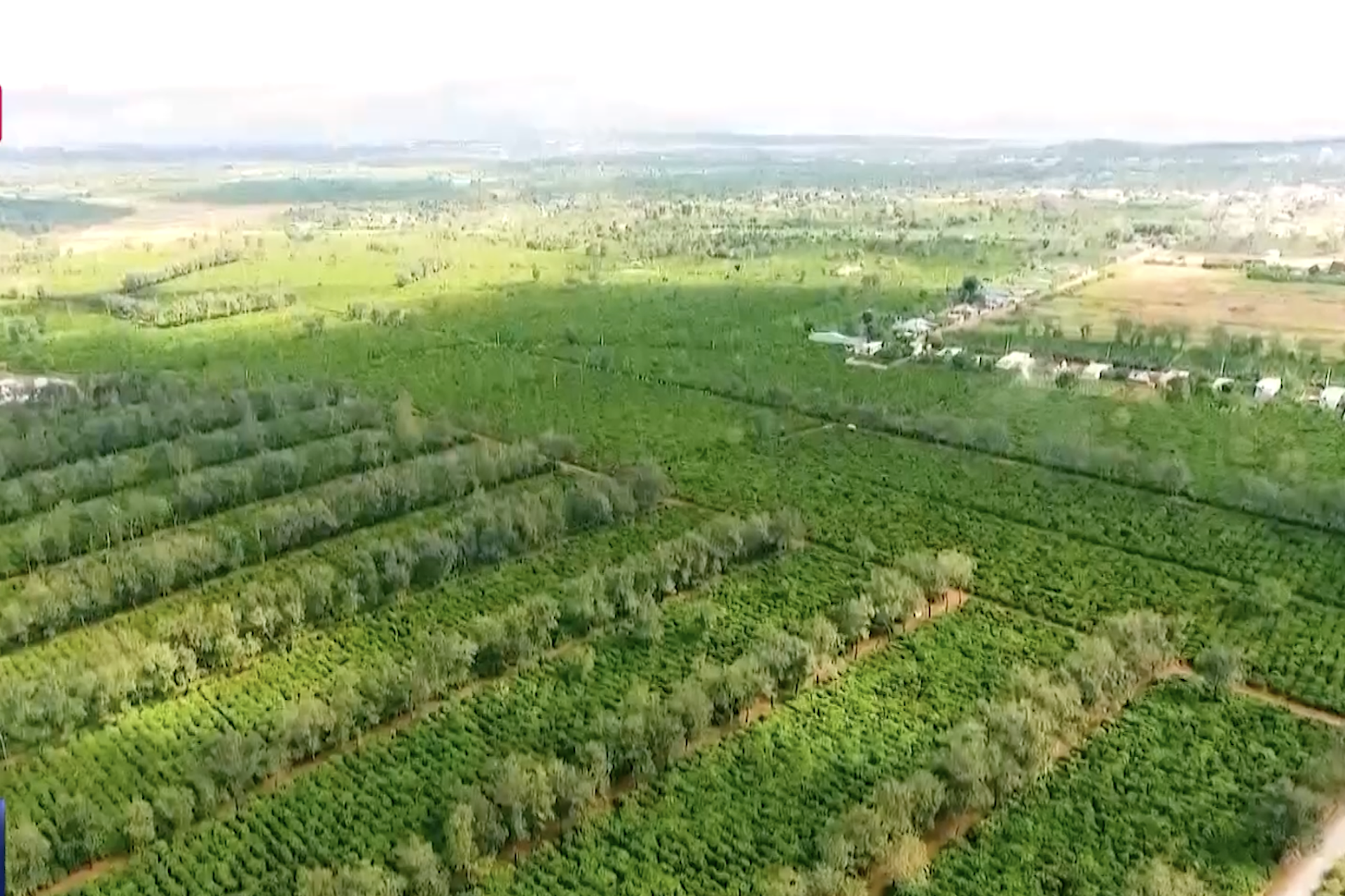 Tạo đà cho Tây Nguyên phát triển