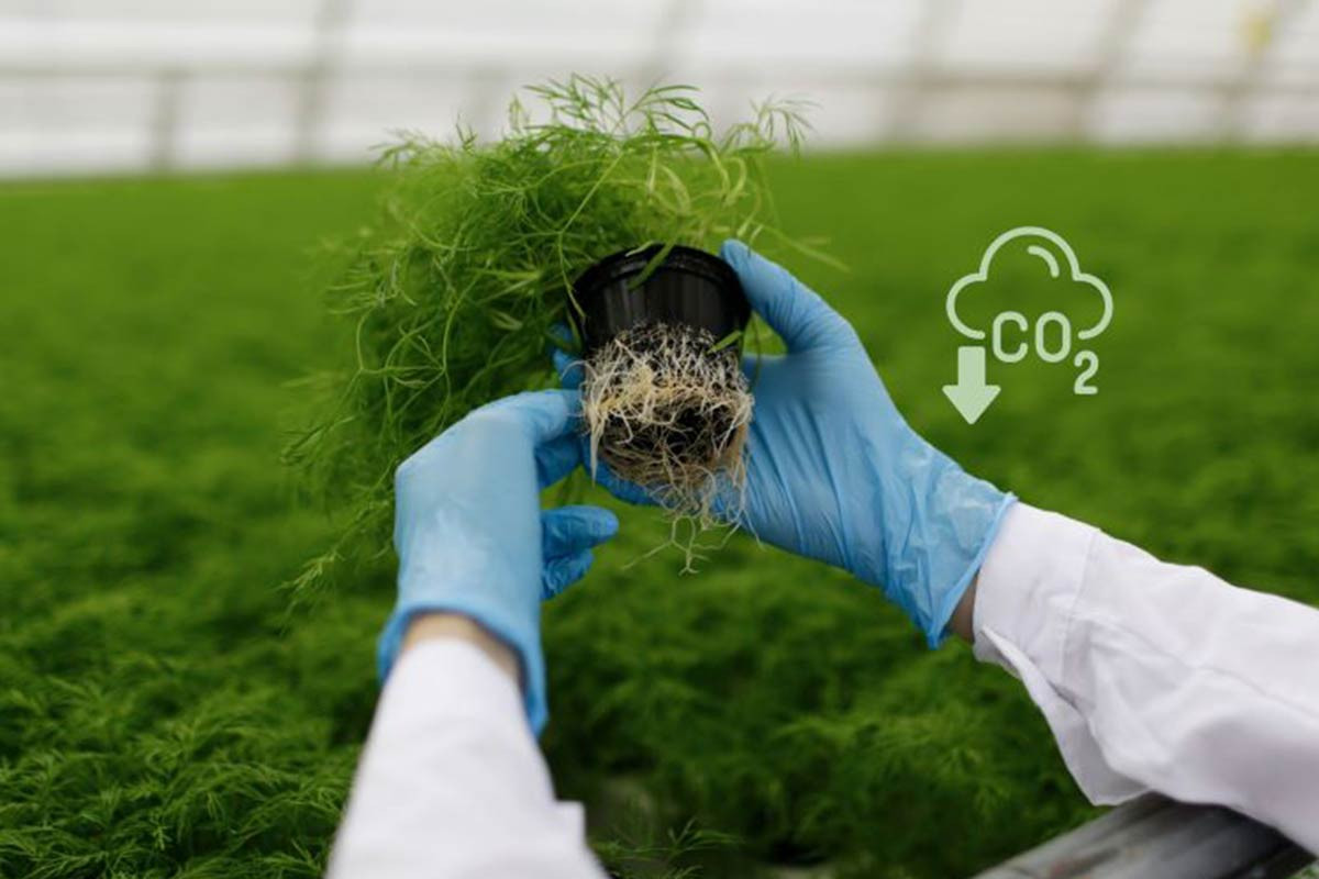Ủy ban chuyên gia Đan Mạch đề xuất thuế phát thải CO2 cho nông nghiệp
