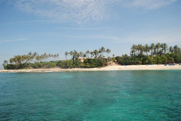 Swimmers to make big splash off Ly Son island hinh anh 1