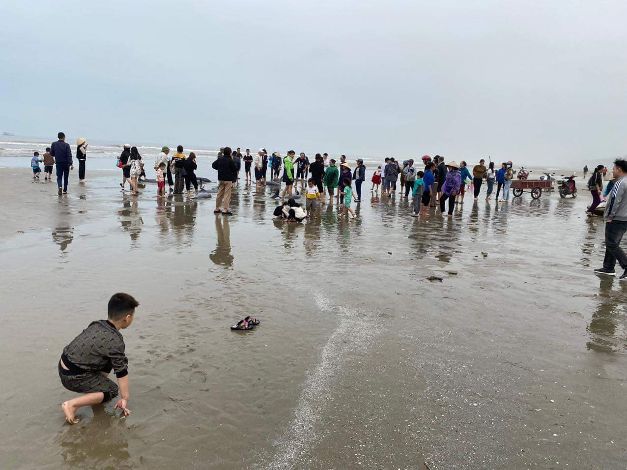 z5254087416629 80790f61e276e77441204a3e8452e665.jpg