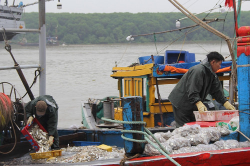 Nghệ An hỗ trợ ngư dân bám biển và chuyển đổi nghề phù hợp