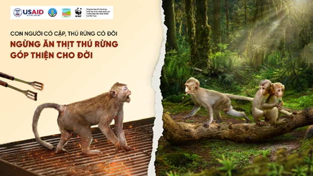 People called on to reduce wildlife meat demand hinh anh 1