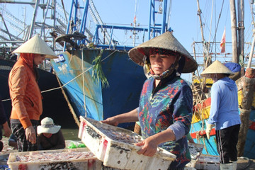Quảng Bình: Bảo đảm cuộc sống ngư dân sau khi chuyển đổi nghề