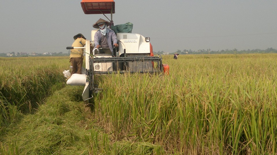 11 thai binh nhua nong nghiep.jpg