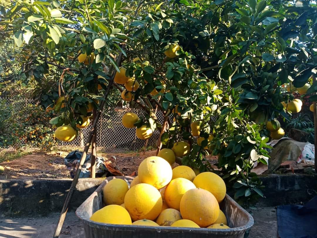 9 rac nhua nong nghiep.jpg