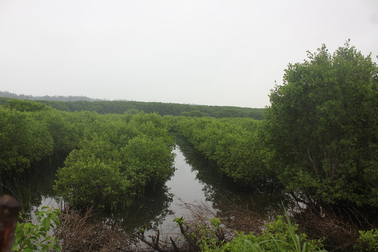 anh moi 1sssssss.jpg