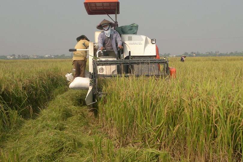 Thái Bình tích cực thu gom rác thải nhựa trong sản xuất nông nghiệp