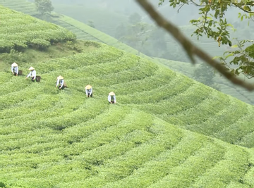 Khơi tiềm năng du lịch của đồng bào dân tộc thiểu số vùng Đất Tổ