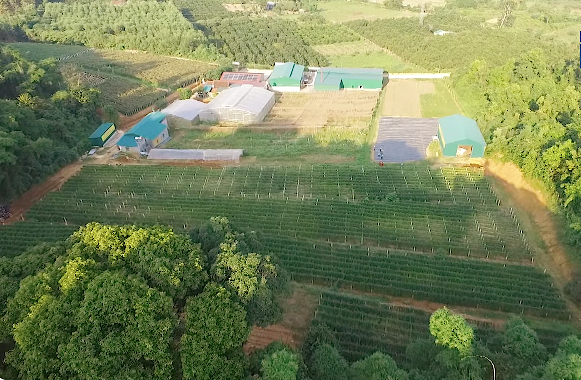 Vùng miền Tây xứ Nghệ, OCOP là một chương trình kinh tế