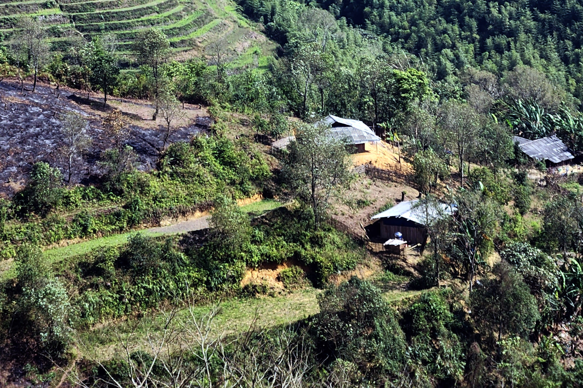 bao lam cao bang.jpg