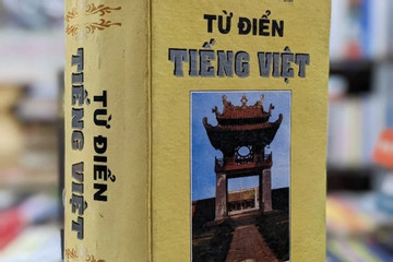 Cuốn từ điển tiếng Việt đầu tiên xuất hiện khi nào?