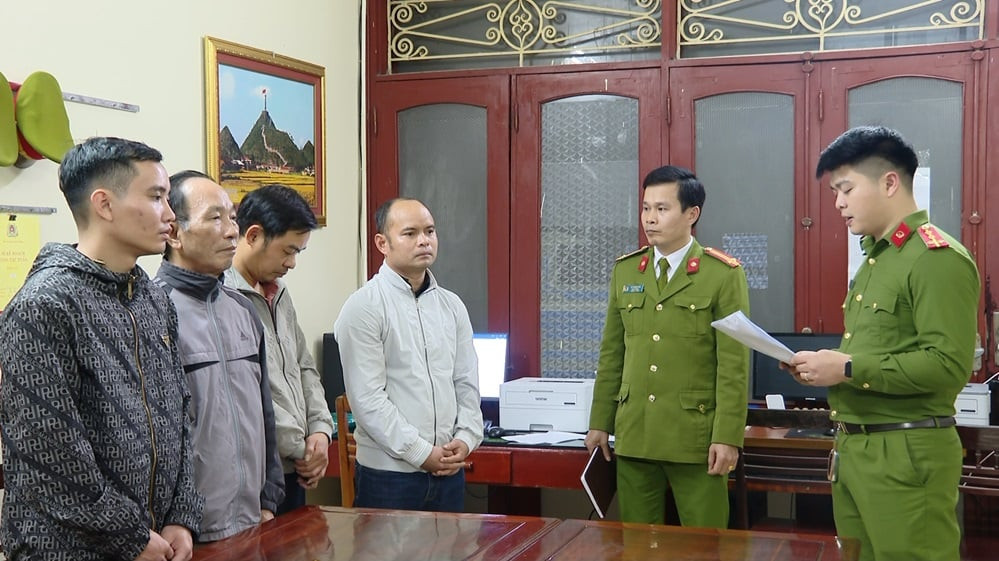 e8819d02 6278 4453 b0c9 999455753ace.jpeg