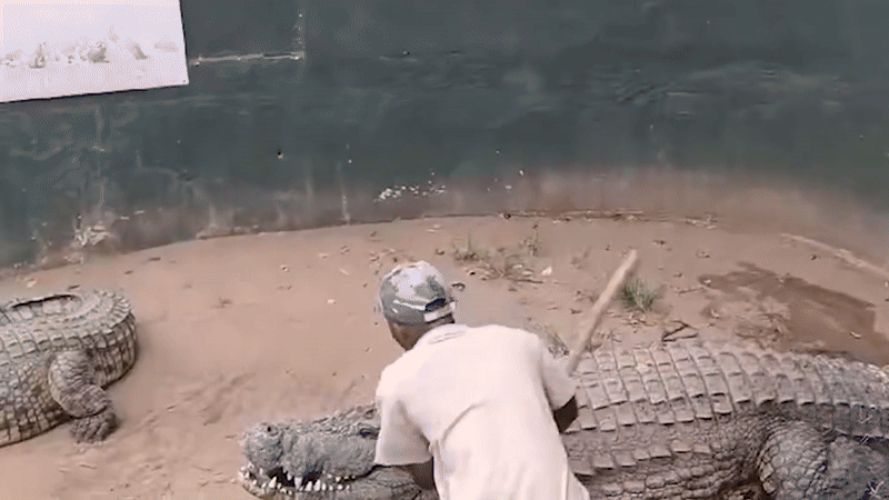 nhtncng ezgifcom video to gif converter.gif